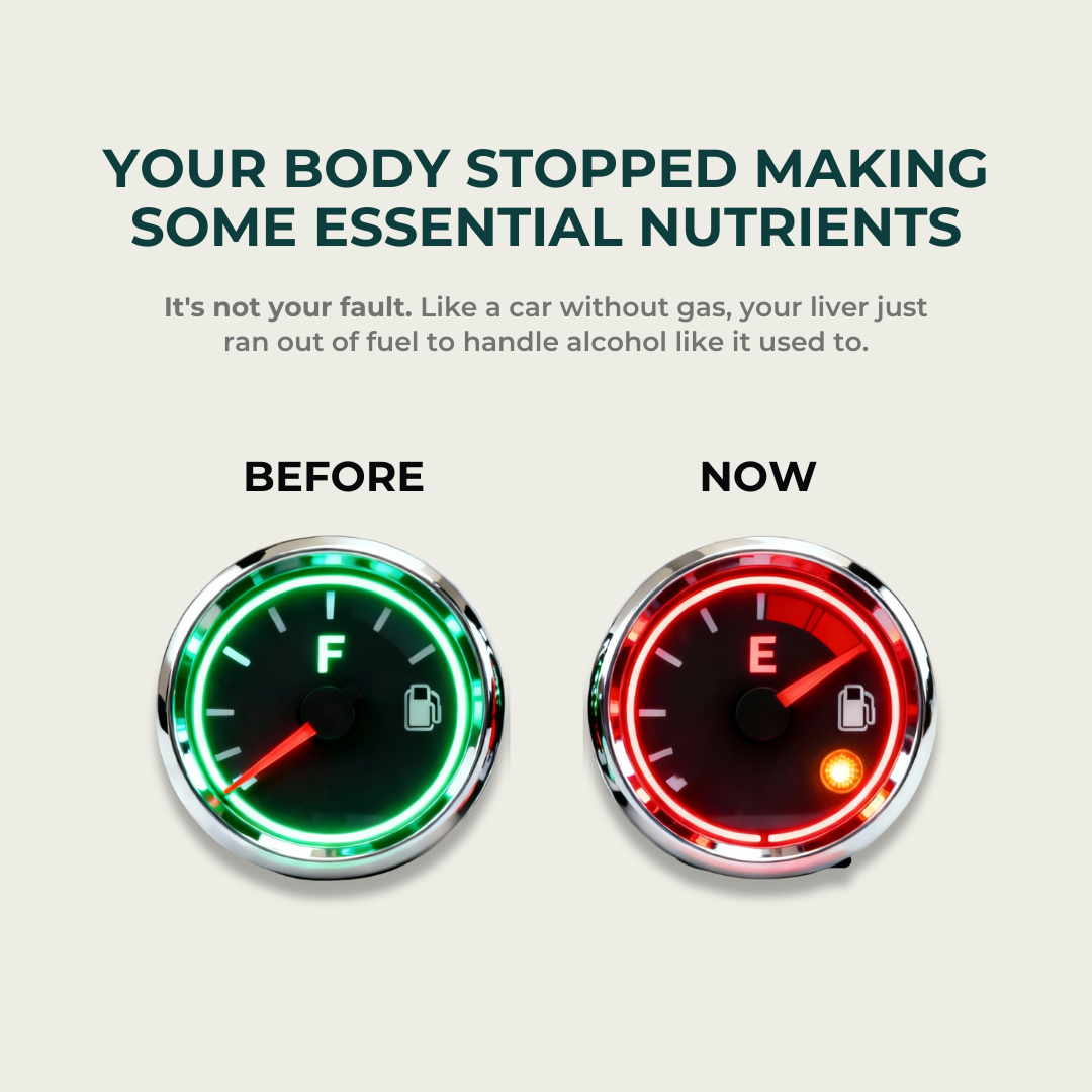 Kiyoi Hangover Revive